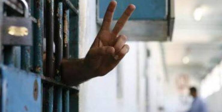 Amed Zindanı’ndan İmralı Zindanı’na anlamın inşası ve direnme