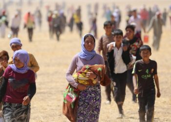 Êzidî Soykırımında Suç Ortaklığı