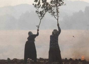 Demokratik Modernitenin Ekolojik Boyutu