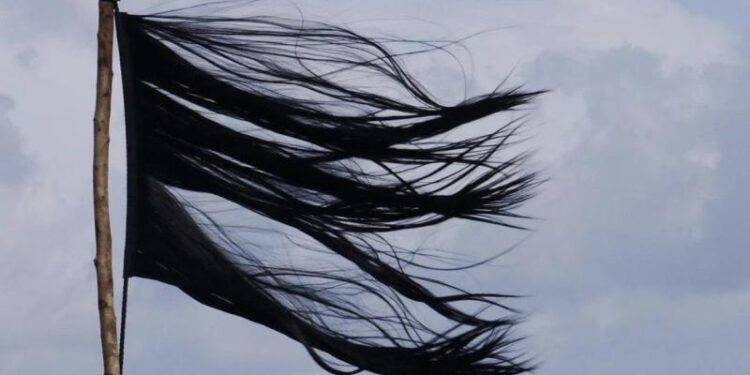 Direnişiyle Tarihe Adını Yazan Kadınlar