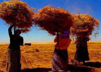 Kadın Emeğiyle Komünal Ekonomi