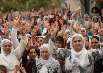 Manav Kâğıdından Bir Demokrasi Bileti