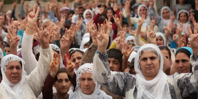 Manav Kâğıdından Bir Demokrasi Bileti