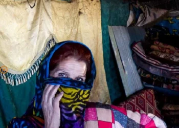 Bölgesel Mülksüzleştirilmiş Bir Topluluk Olarak Domlar