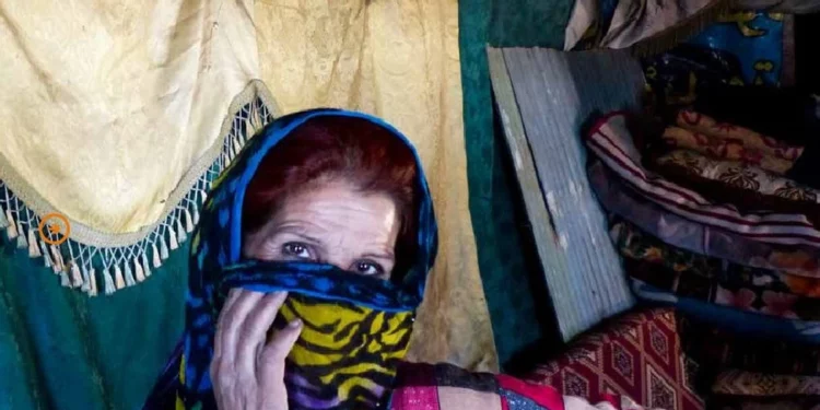 Bölgesel Mülksüzleştirilmiş Bir Topluluk Olarak Domlar