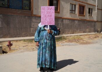Ekolojik Yaşam’ın Başlangıcı Olarak “Barış”ı Düşünebilmek