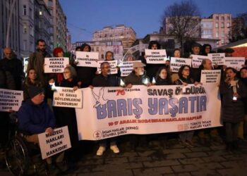 Kadın Özgürlükçü Toplum ve Demokratik Entegrasyon-2