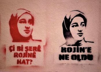 Rojin Kabaiş: Devlet Korumasında Cinayet
