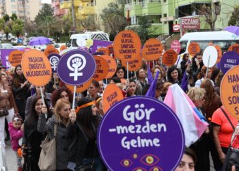 Kadına Karşı Şiddetle Mücadele, Bir Sorgulama Denemesi