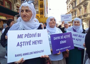 Meclisin Demokrasisi Demokratik Toplumu İnşa Etmeye Yeter mi?