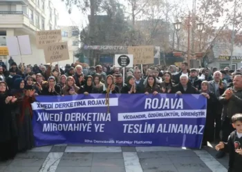 Rojava Bağlamında Son Saldırılar ve Kadın Devrimi