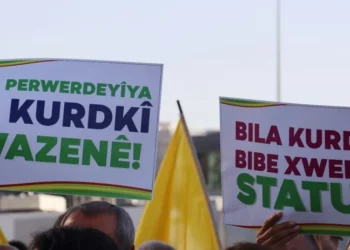 Anadilinde Eğitim: Çocuk Hakları Hukuku ve Demokratikleşme Meselesi