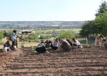 Kapitalist Moderniteye Karşı Kadınların Komünal Yaşamda Israrı