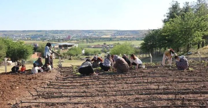 Kapitalist Moderniteye Karşı Kadınların Komünal Yaşamda Israrı