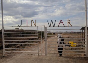 Kadınların Köyü: Jinwar