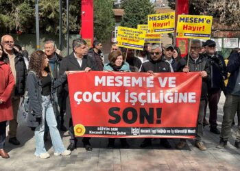 Çocuk İşçiliği ve MESEM: Kapitalizmin Karanlık Yüzü