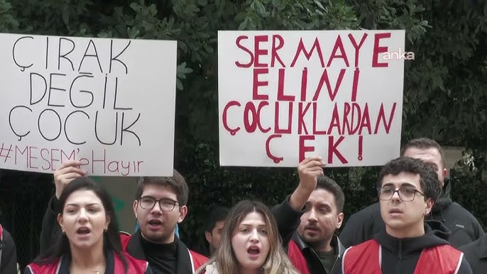 MESEM’ler Üzerine Bazı Meseleler