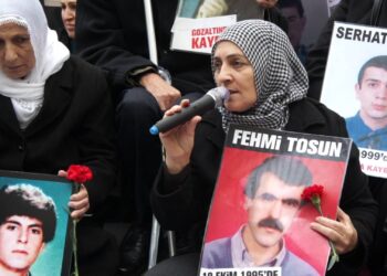 Hanım’ın Çocukları