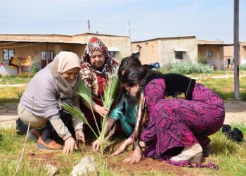 Rojava Devrimi’nin 14. Yıl Dönümü