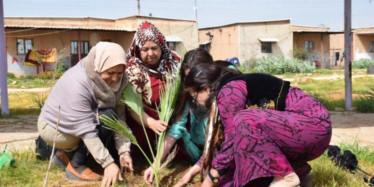 Rojava Devrimi’nin 14. Yıl Dönümü