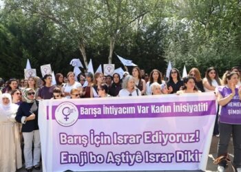 Barış ve Demokratik Toplum Sürecinde Kadınların Çerçeve Yasa ve Anayasa Talepleri