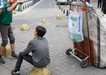 Çocuk Haklarından Güvenlikçi Politikaya: Türkiye’de Çocukların Mücadelesi