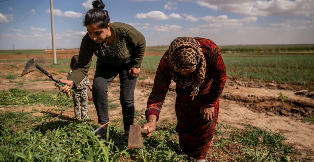 Özgürlüğün Sosyolojisi Mümkün mü? Kürt Özgürlük Perspektifinden Toplumu Yeniden Düşünmek