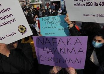 ev kadına ve çocuklar kadına emanetse nafaka da olacak
