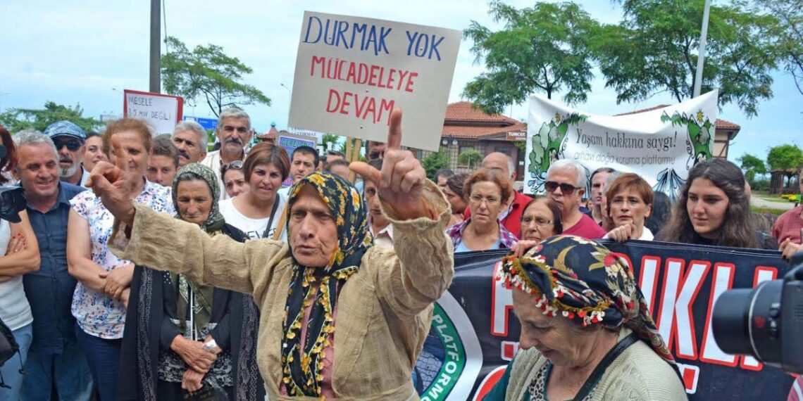 Cesaret Sadece Biraz Cesaret, Sevgili Ağaç!