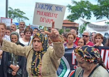 Cesaret Sadece Biraz Cesaret, Sevgili Ağaç!