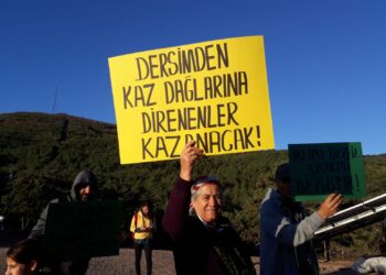 Doğanın Ontolojik Çöküşü ve Canlı Evrenin İkrarı: Anadolu-Mezopotamya Ekseninde Ekokırıma Karşı Canlı Kozmolojiler
